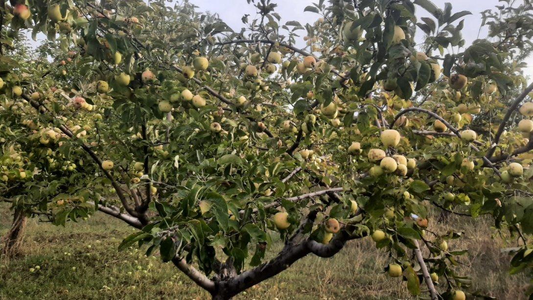 Doğa ve Orman Okulu Tarım Ürünleri İncelendi