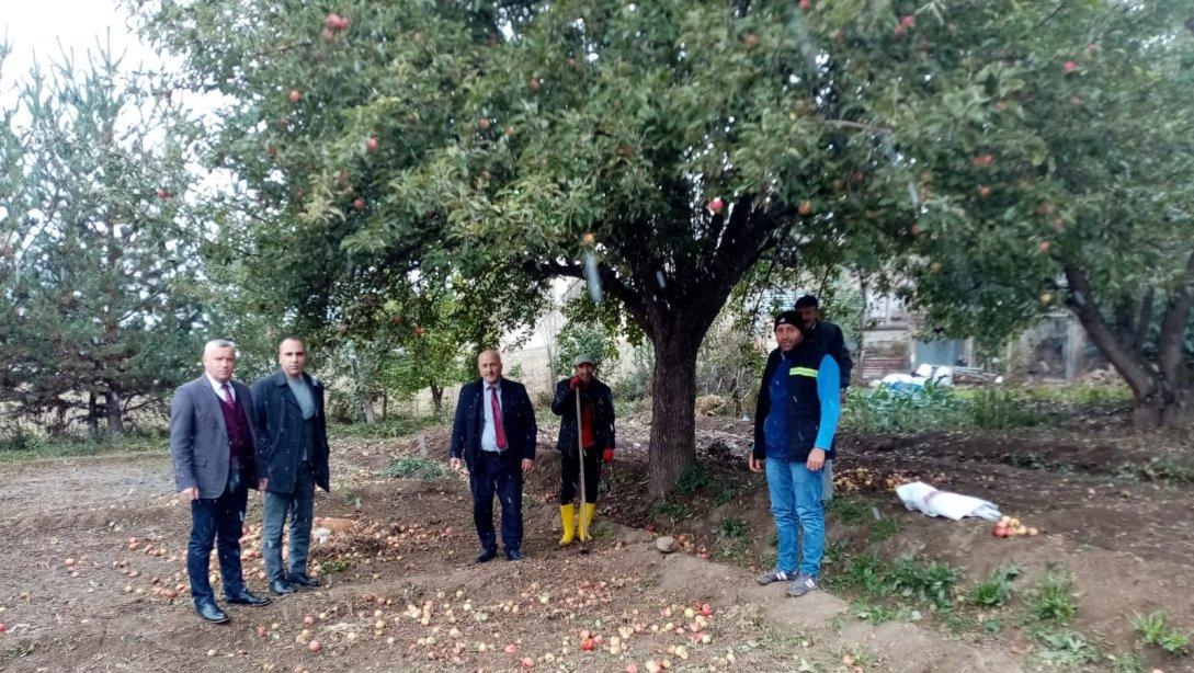 Tarım Ürünlerimizin Hasatı Gerçekleştirildi.